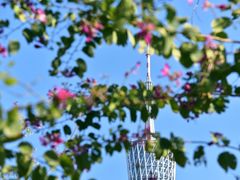 -二沙岛艺术公园