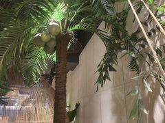 -大头椰·椰子鸡火锅(南宁万象城店)