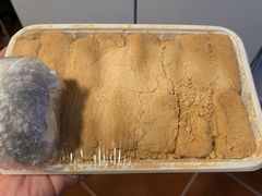 打糕-南大门韩国米糕(公滨路店)