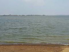 android_upload_pic-瑶湖郊野森林公园