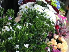 -ChaKo Flora ·茶子花艺 (市北店)
