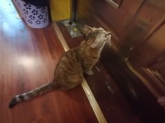 -H立方实景剧情密室(天河旗舰店)