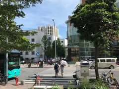 -龙记·香港茶餐厅(海上世界店)