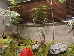 -森SPA·泰式按摩·精油Massage(宝安中心店)