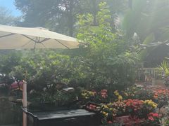 -山水茶艺馆·点心粤菜·30年老字号