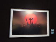 -罗红摄影艺术馆