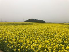 -牛街螺丝田