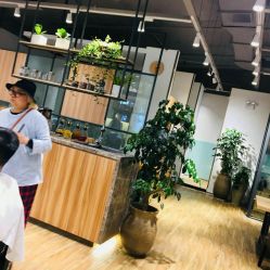 -Mentor Hair Salon