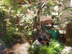 -锦府盐帮·李宅(领展购物广场中关村店)