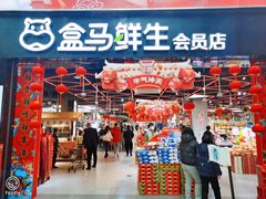 门面-盒马鲜生(杨高南路店)