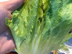 -杨记齐齐哈尔烤肉(总店)