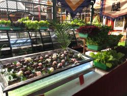 -花家怡园·宴会厅(簋街四合院总店)