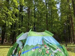 -黄海国家森林公园