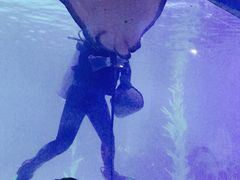 -常州海昌海洋探索馆