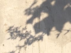 -三溪村