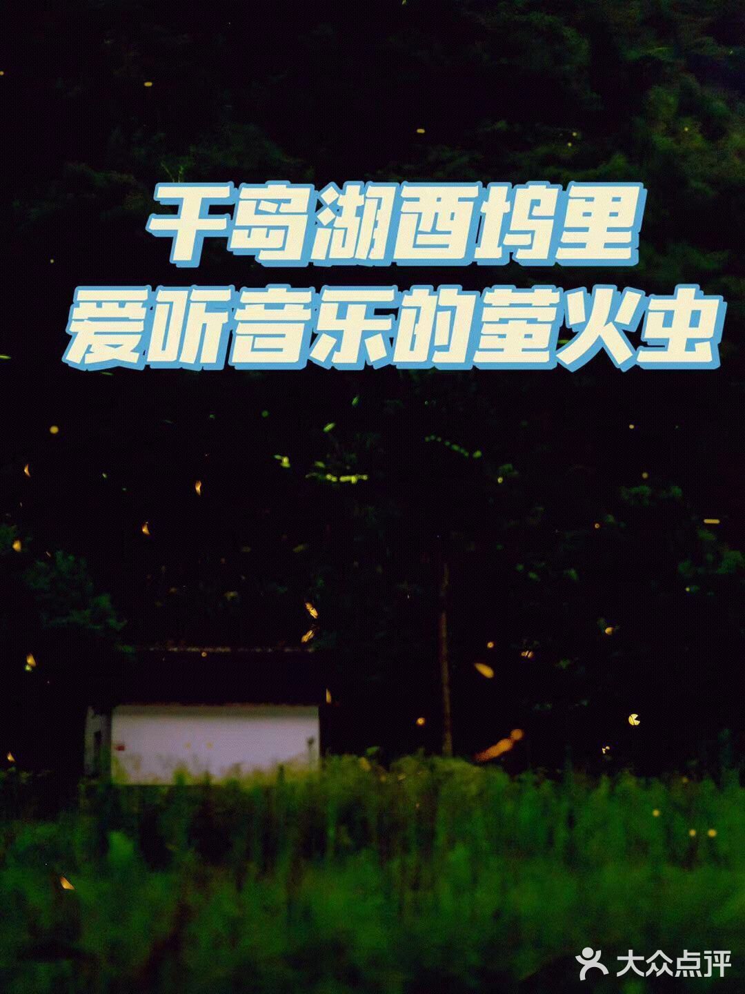 千岛湖小众旅游地推荐|夏天去看萤火虫呀