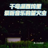 千岛湖小众旅游地推荐|夏天去看萤火虫呀