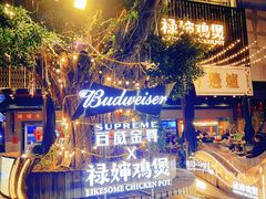 -禄婶鸡煲·打边炉