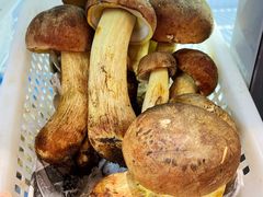 黄牛肝菌-菌之家·专业纯野生菌火锅·特色炒菌