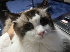 -零纪元VR体验馆·桌游(黄浦店)