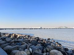 -上海吴淞炮台湾国家湿地公园