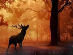 -黑竹香鸡(营和巷店)