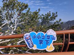 -少华山国家森林公园