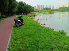 -丁香湖公园