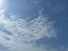 -珍记海鲜粥·海鲜粉