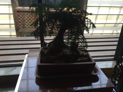 -山东大厦