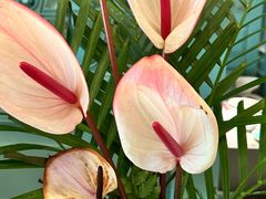 -南堂馆·新川菜(春熙路店)