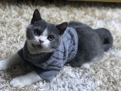 -宠颐生动物医院·心脏科·保险定点(锦阳分院)