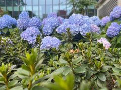 -成都市第一人民医院(南区)