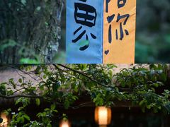 -宁波五龙潭景区