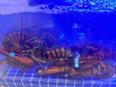 -雍和会海鲜姿造自助(湖东路店)