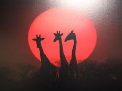 -罗红摄影艺术馆