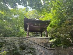 -北极阁公园
