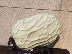 -中华赏石园