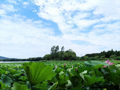 -云龙湖旅游景区