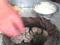 -刘飞放心无铝油条(阳光翠竹苑店)