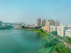 -立新湖公园