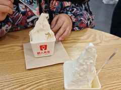 -野人先生Gelato(上海长宁龙之梦店)