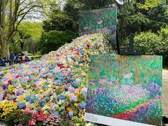 -上海共青森林公园