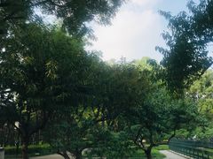 -玲珑塔公园