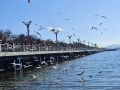 -海埂大坝
