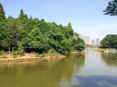 -艾溪湖湿地公园