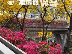 -邻与咖啡(鼎太风华店)