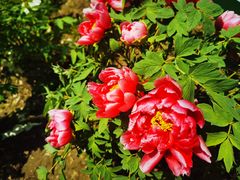 -江南大学(蠡湖校区)