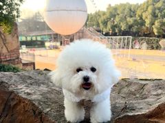 -横店影视城梦幻谷园区