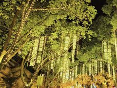 -横店影视城梦幻谷园区